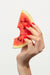 One In A Melon (LED)